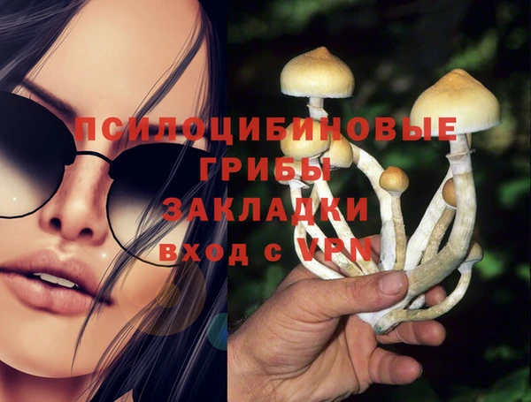 амф Алексин