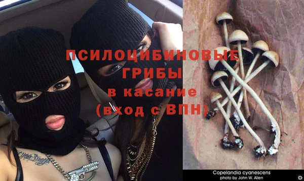 амф Алексин